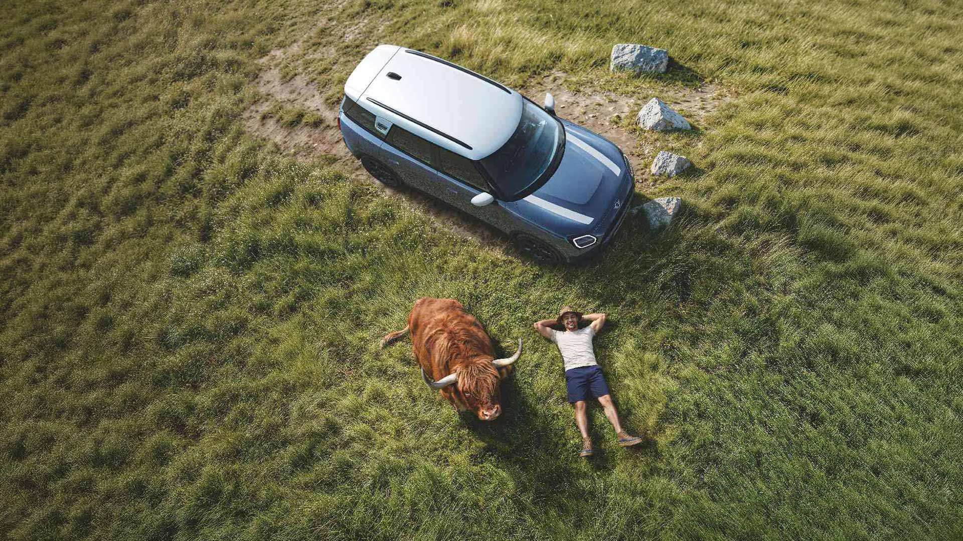 A MINI Countryman driving past a cow grazing peacefully nearby. With proactive care, we handle the worries, you drive.